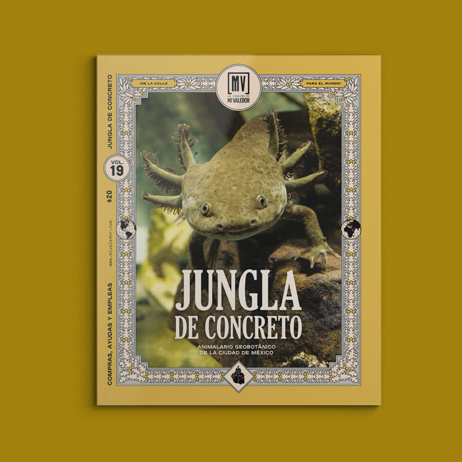 19. Jungla de Concreto