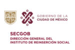 Instituto de Reinserción Social