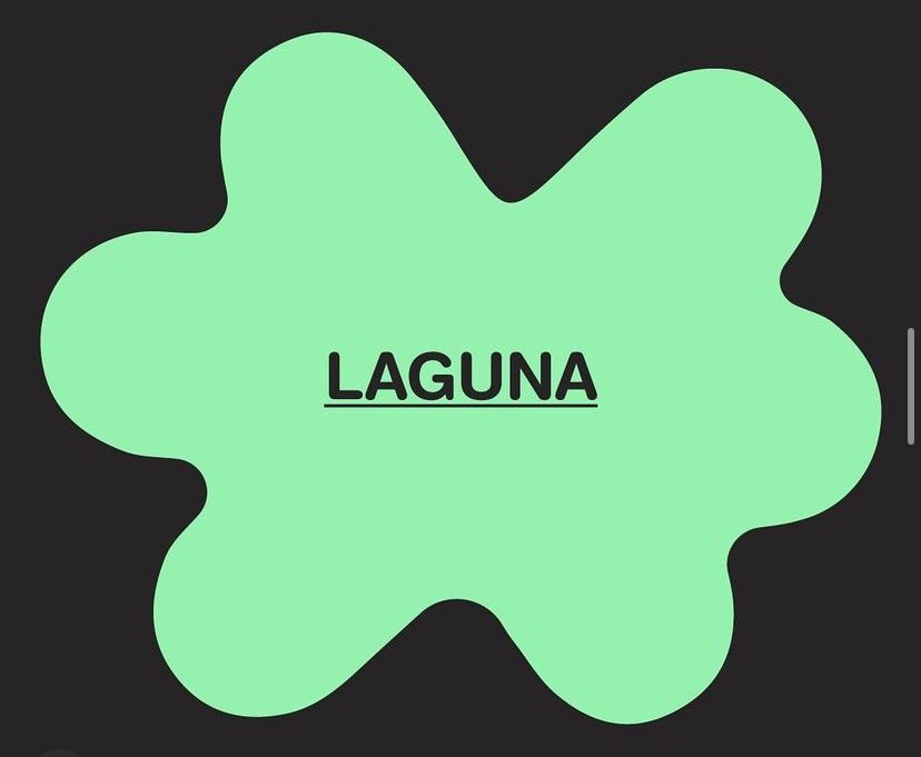 Buen Fin Laguna