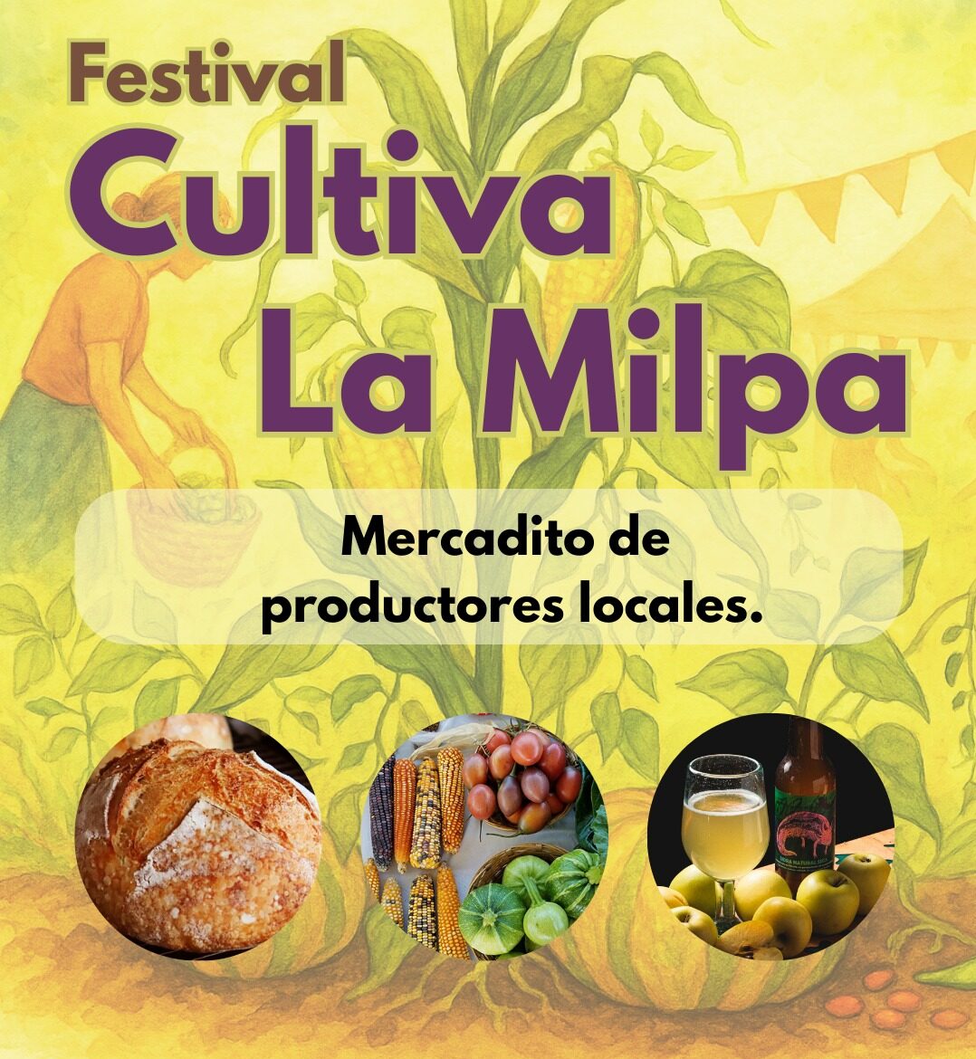 Festival Cultiva la Milpa