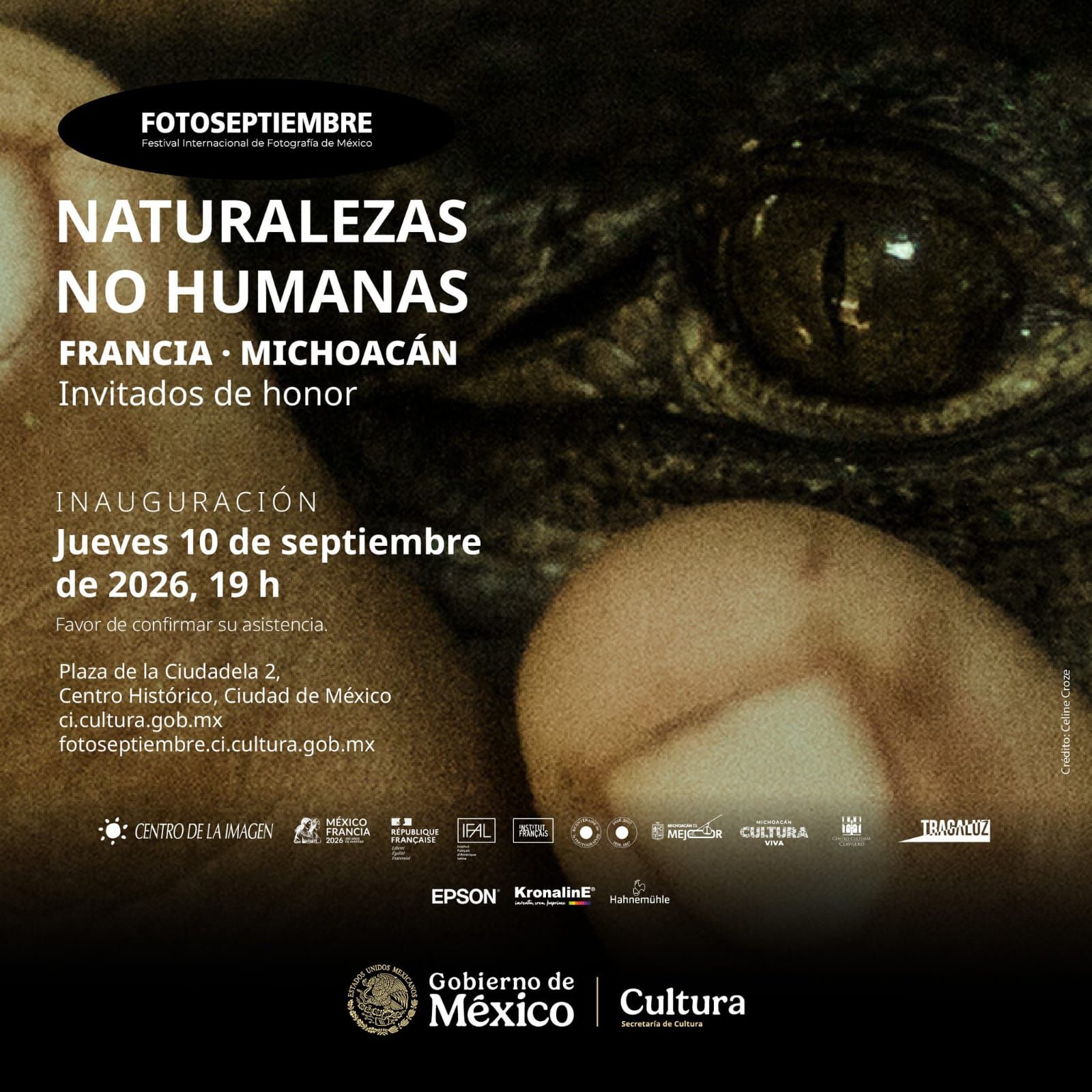 FOTOSEPTIEMBRE. Festival Internacional de Fotografía de México 2026